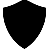 icons8 shield 100